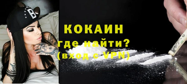 ешки Аркадак
