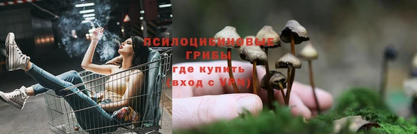 соль ск Арсеньев