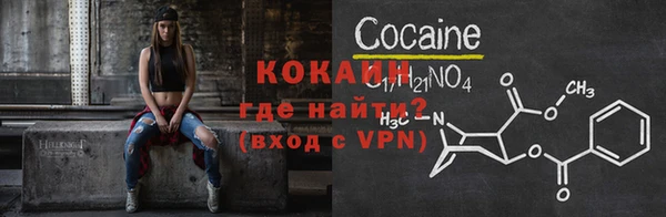 соль ск Арсеньев