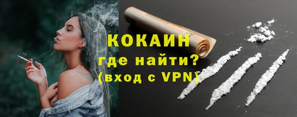 ешки Аркадак