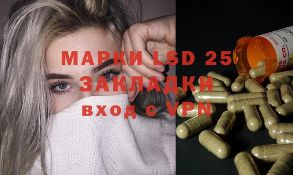 ешки Аркадак