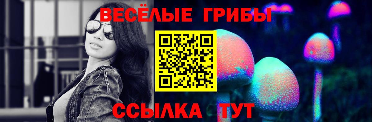Псилоцибиновые грибы Psilocybe Нарьян-Мар